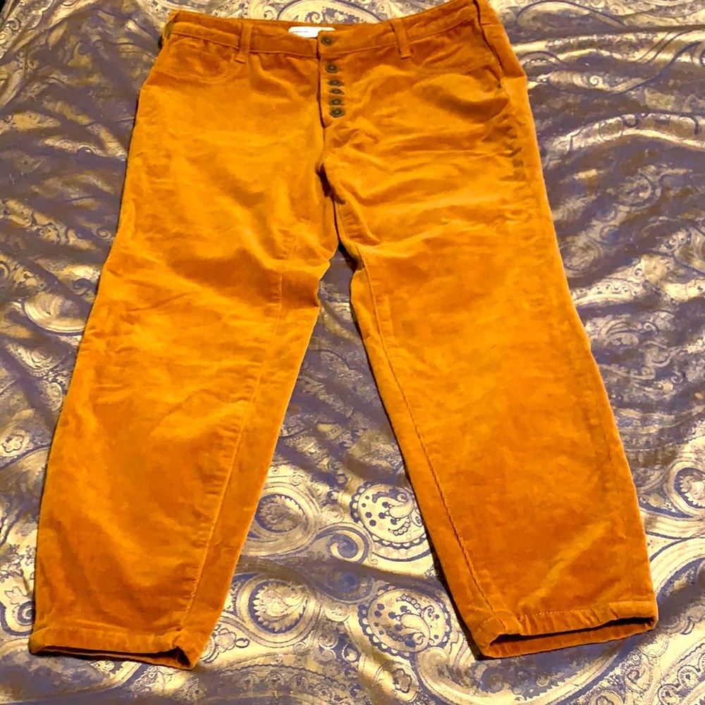 Pilcro high rise skinny corduroy pants.